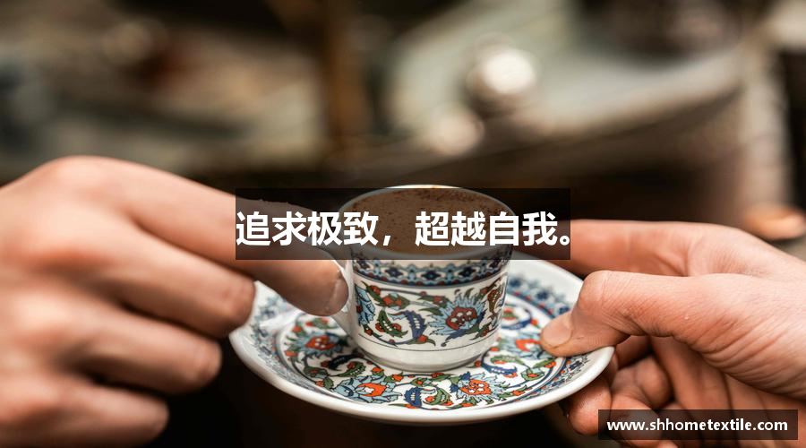 追求極致，超越自我。